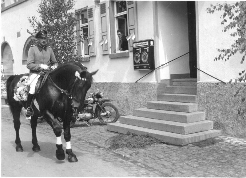 Datei:Rhm Gestuetsleiter Lindner mit Domino 1958.jpg